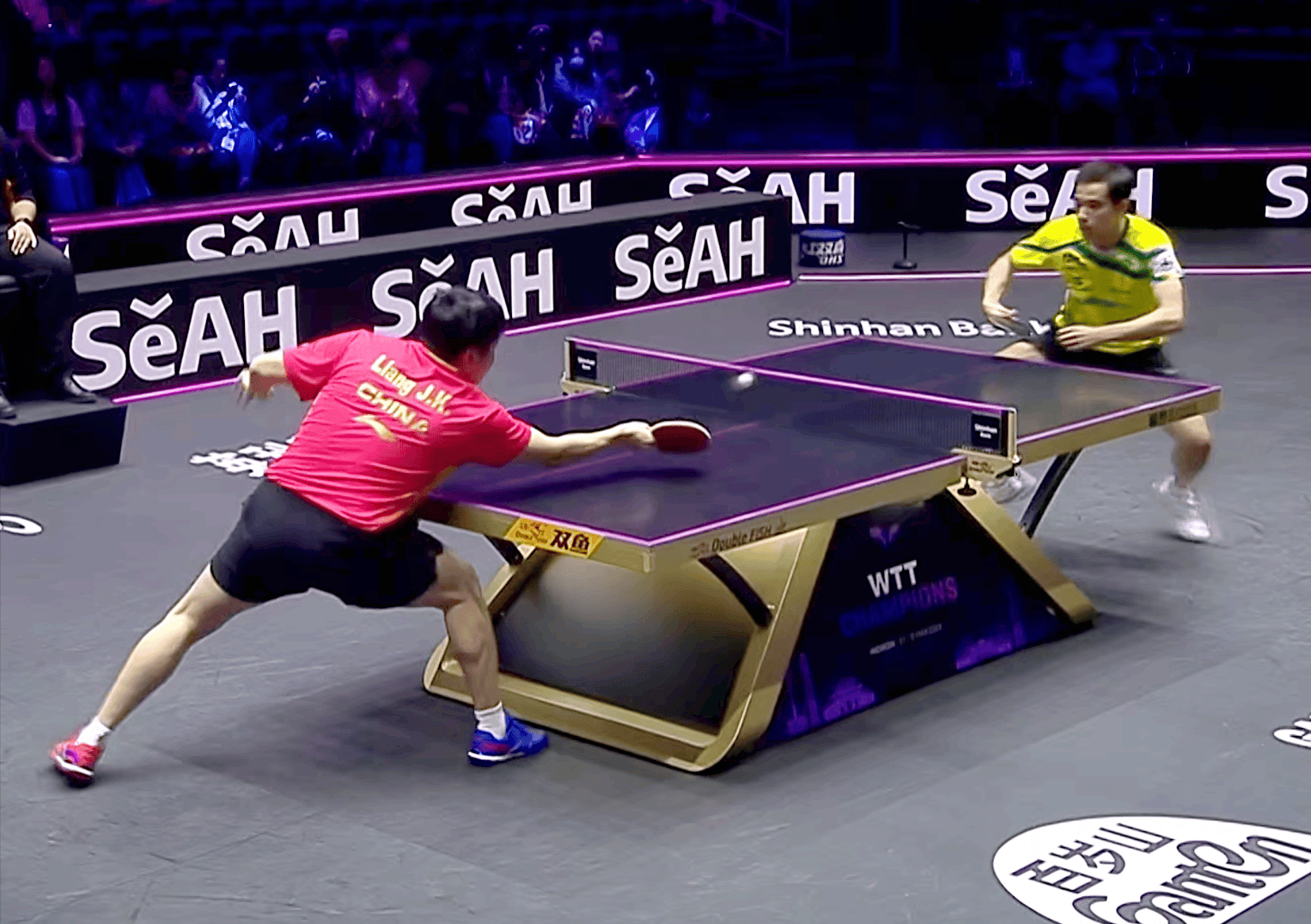 名将再次登顶,拿下一枚金牌 名将再次登顶,拿下一枚金牌