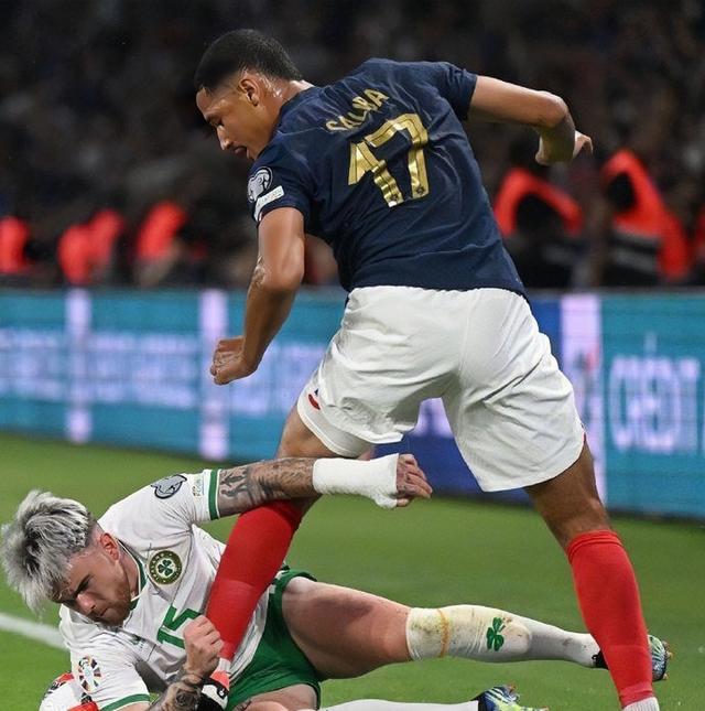 法国队在欧洲杯预选赛中惊险获胜