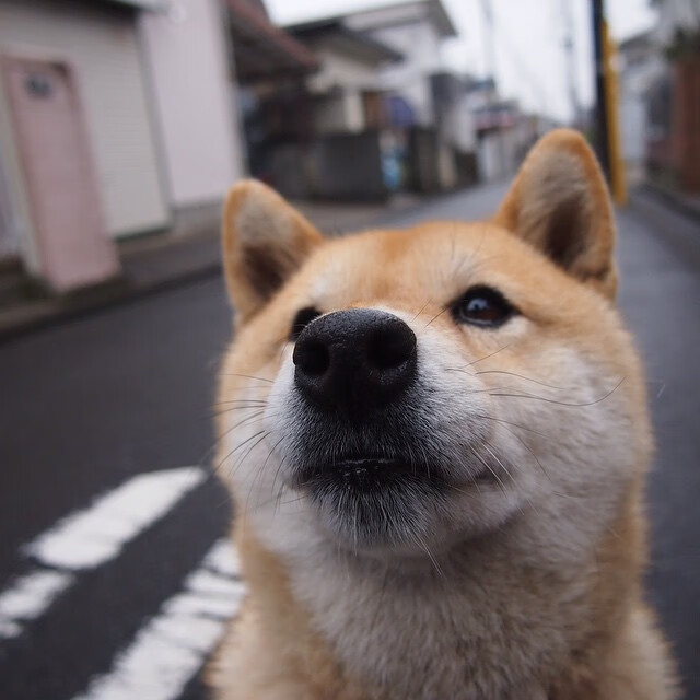 乌拉圭硬仗取胜罗马，久保建英德甲争冠战接管比赛