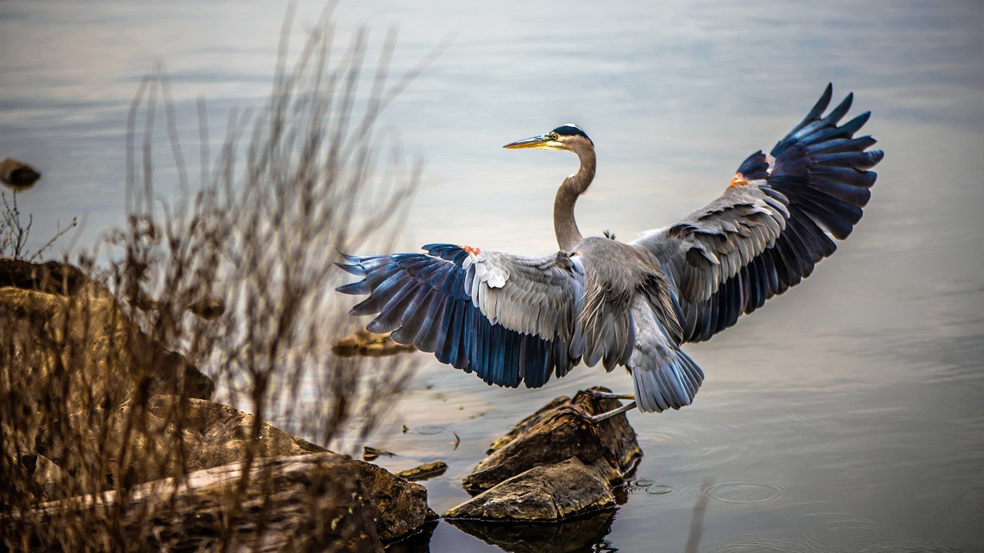 静夜统治，库尔图瓦如何用沉默的节奏杀死抢七悬念