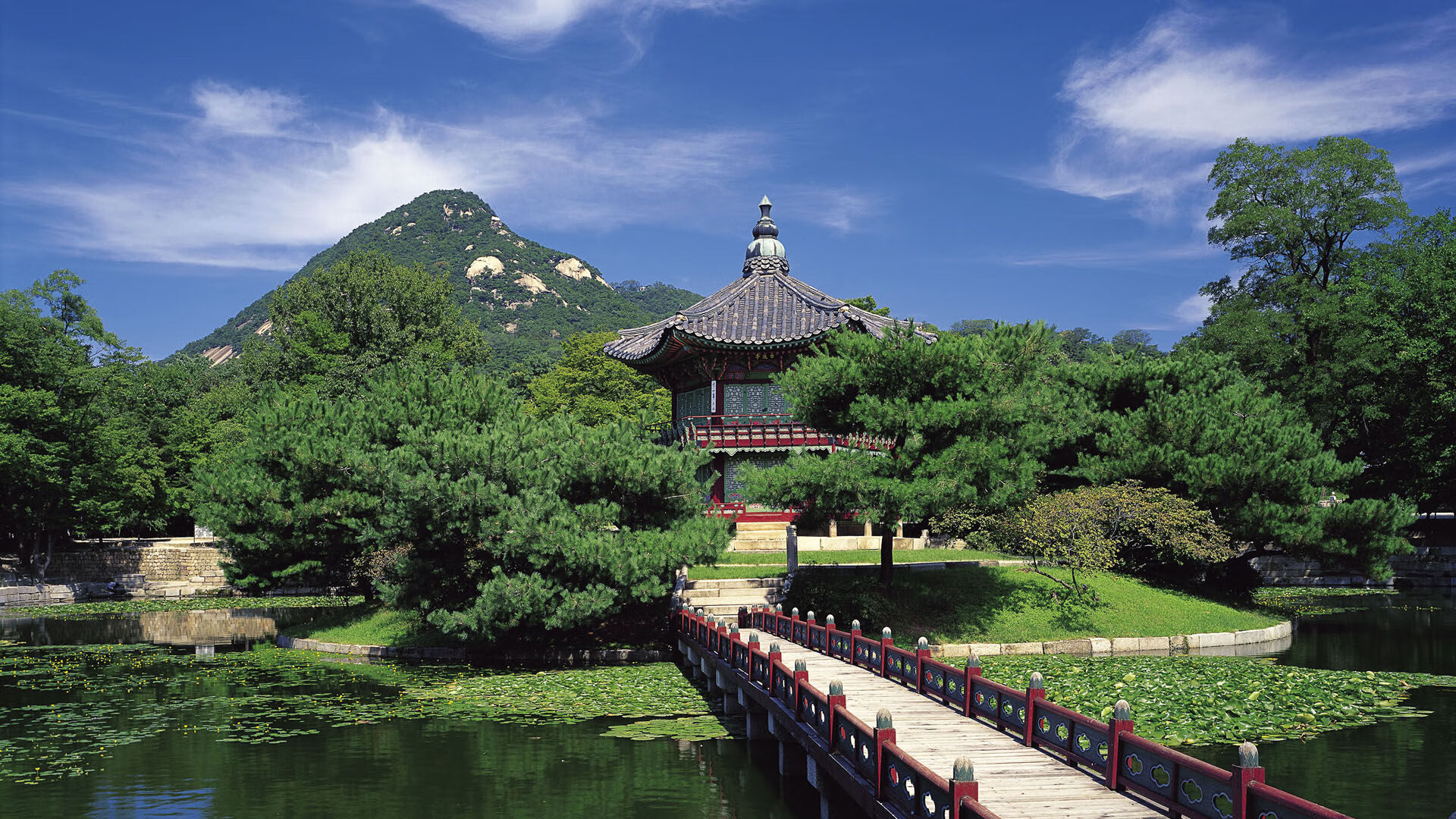 希腊铁血防线击溃里昂，中场绞杀令坎特叹息