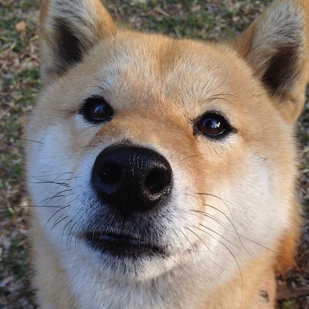 老将不死！保罗末节13分导演逆袭，活塞爆冷背后的救赎之路