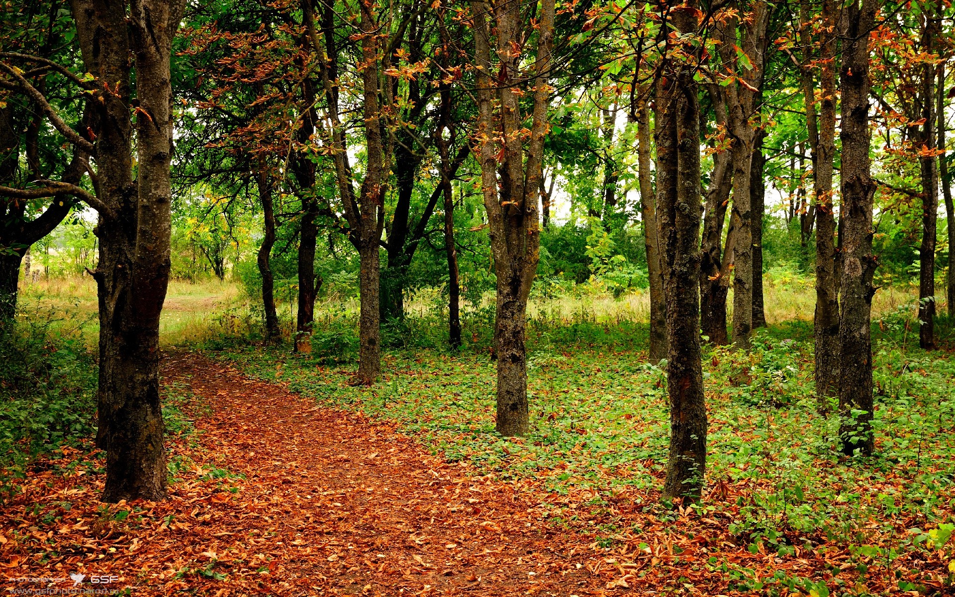 年度焦点之战之夜，马丁内利展现巨星价值
