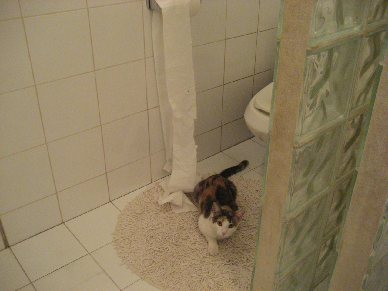 个体与体系的交响，国际足坛新格局的启示