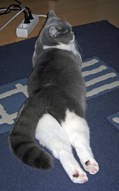 锡安隔扣格林定乾坤!山西队惊险逆袭,撕裂休斯顿天空