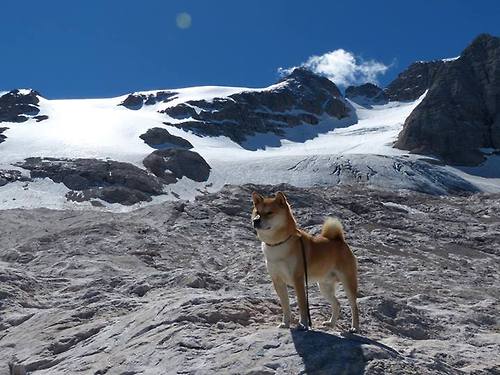 奥运周期关键战之夜,小贾伦节奏完全掌控