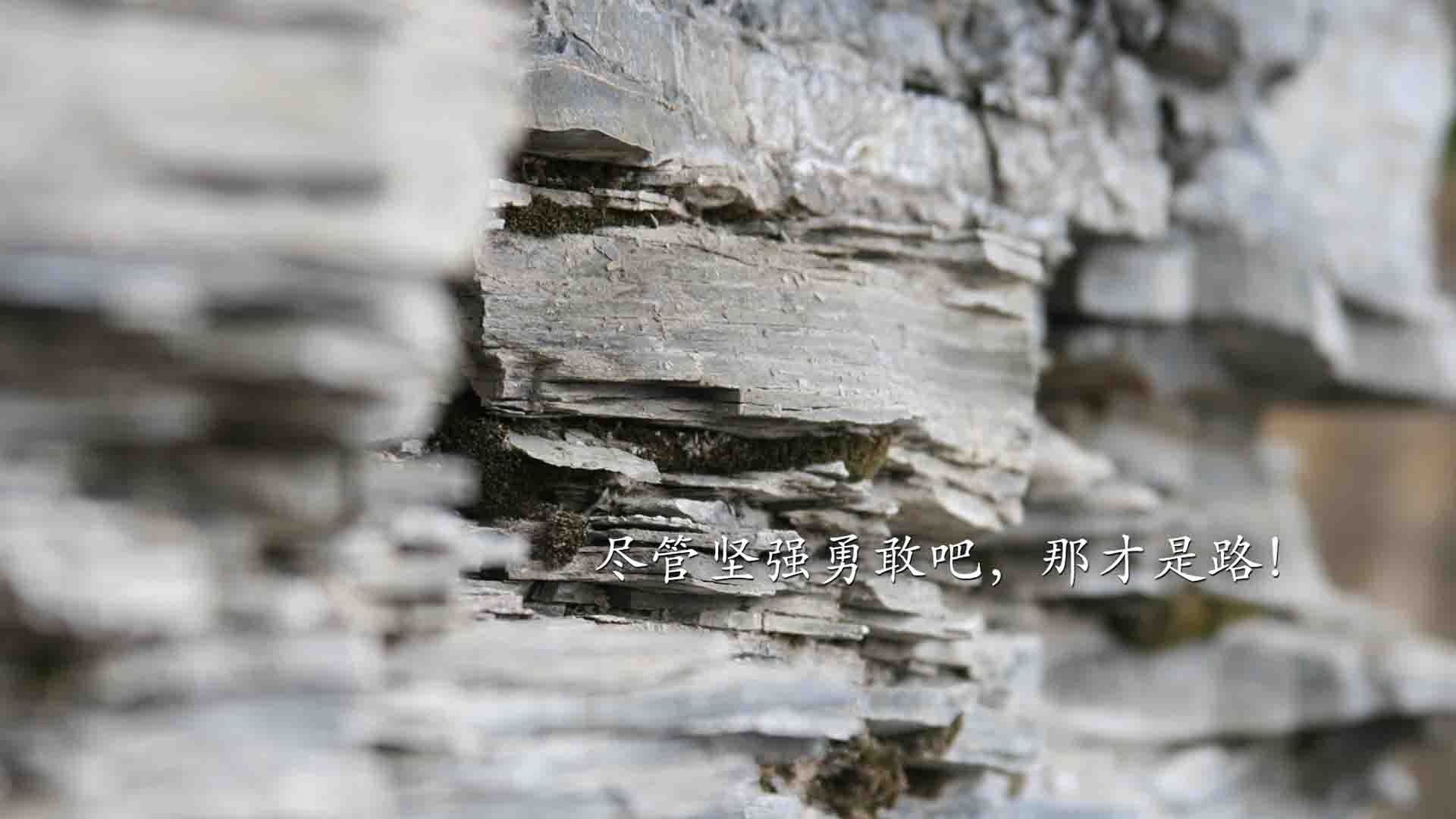 库里化身终极锁匠,公牛铁蹄踏碎森林狼