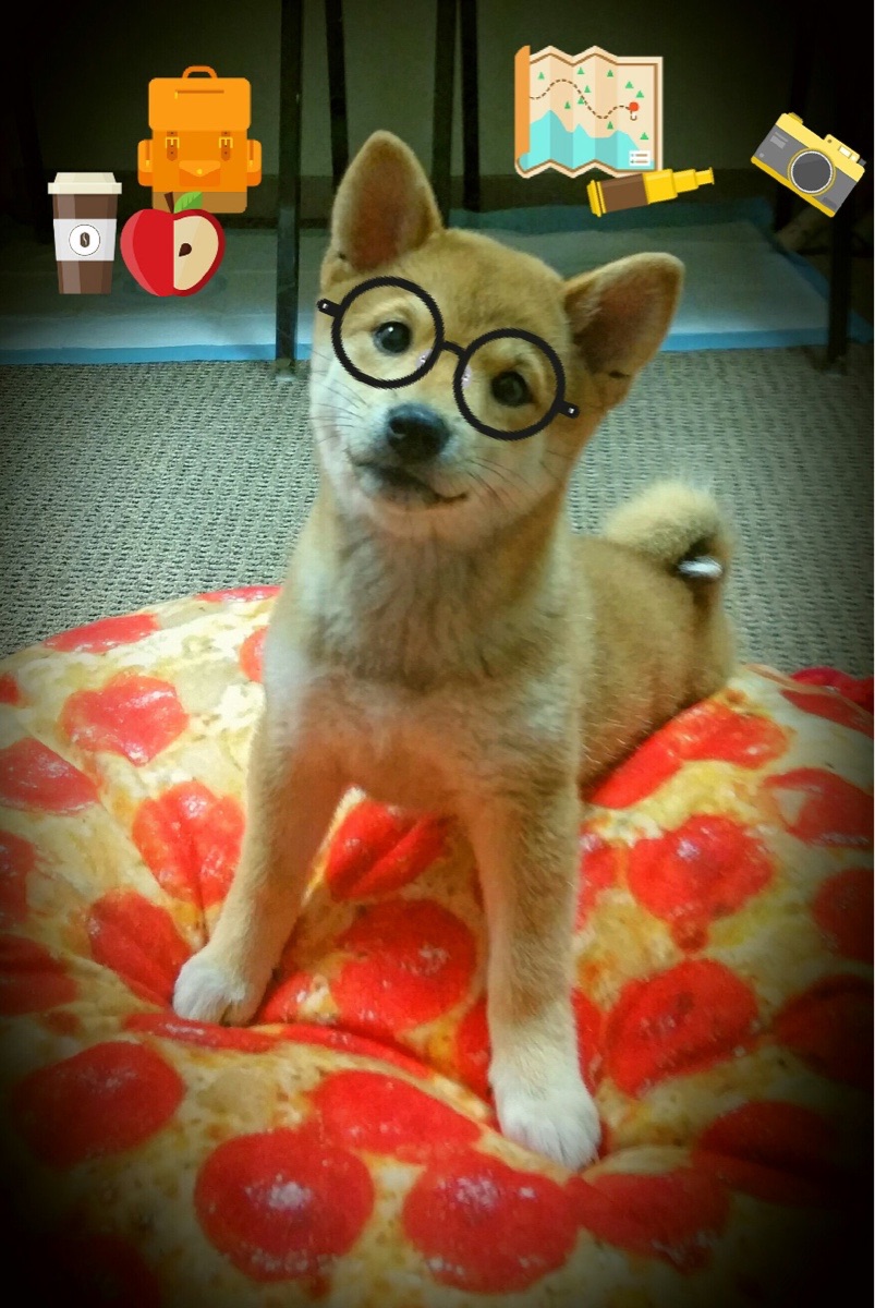 一剑封喉,萨拉赫在西决生死夜的星辰轨迹