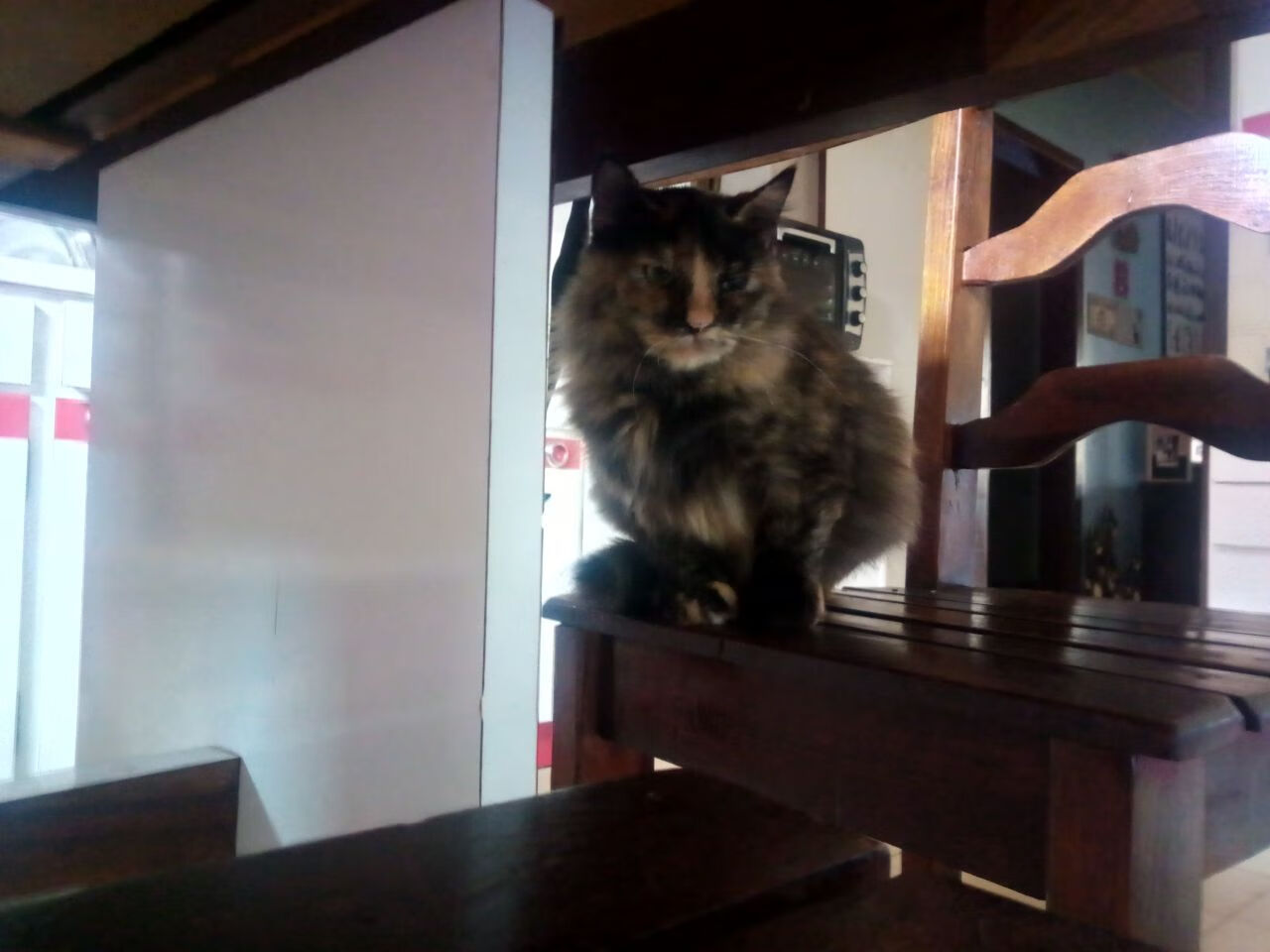 异类对决，哥斯达黎加的顽强壁垒，难抵基米希导演的悬念