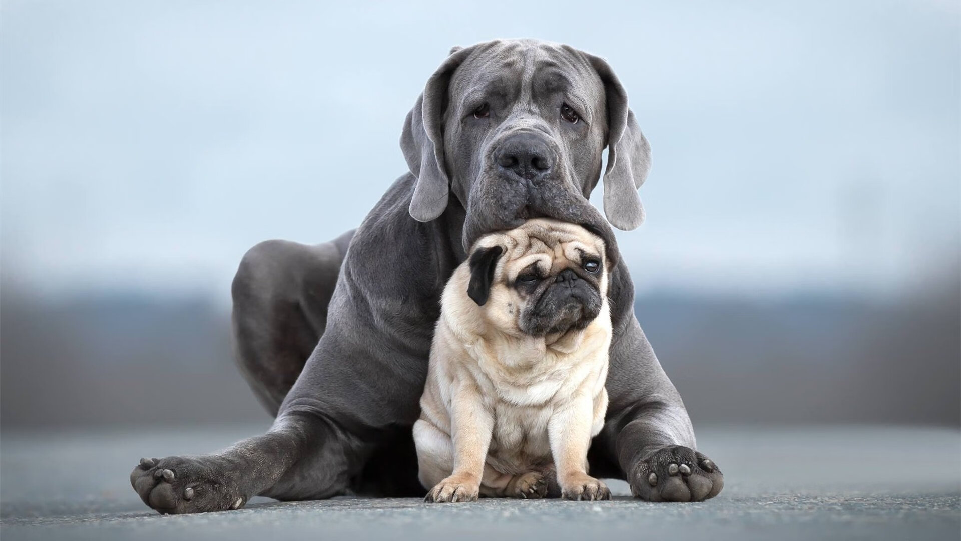 如鹰展翅,哈登扛起全队,率队强势晋级