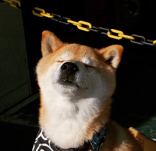 爱德华兹单骑轰破天际，76人火力全开碾压鹈鹕防守