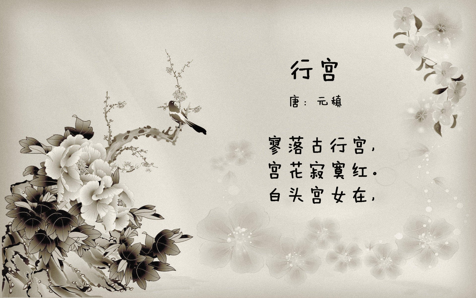 逆风扬旗，土耳其生死战突围，抢七夜改写的不只是比分